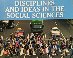 Discipline and Ideas in the Social Sciences